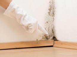 Mold Odor Removal Services in Sandwich, IL